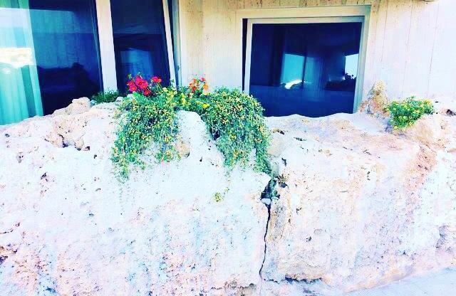 Villa Dimora Silcla1 à Polignano a Mare Extérieur photo